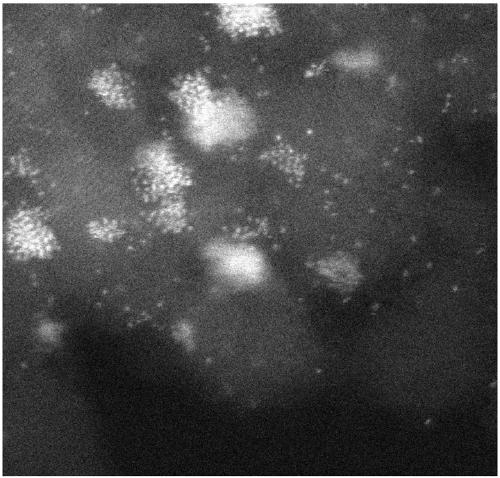 Atomic-scale dispersed palladium-based nanometer diamond/graphene composite material catalyst, preparation method and applications thereof