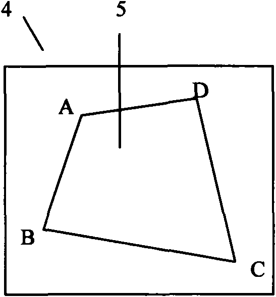 Technique for eliminating vertical parallax of multi-viewpoint stereo image