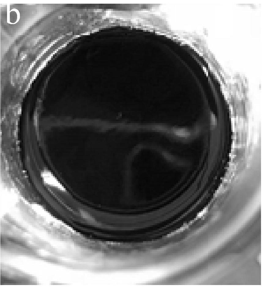 A preparation method of hollow mesoporous silica\aps\graphene oxide nanocontainer