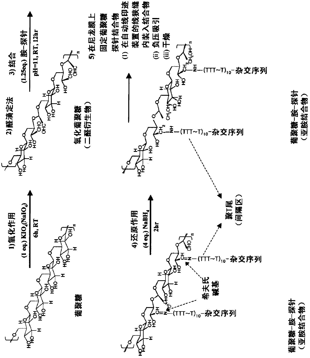 Method for preparing nucleic acid probe-coated porous solid support strip