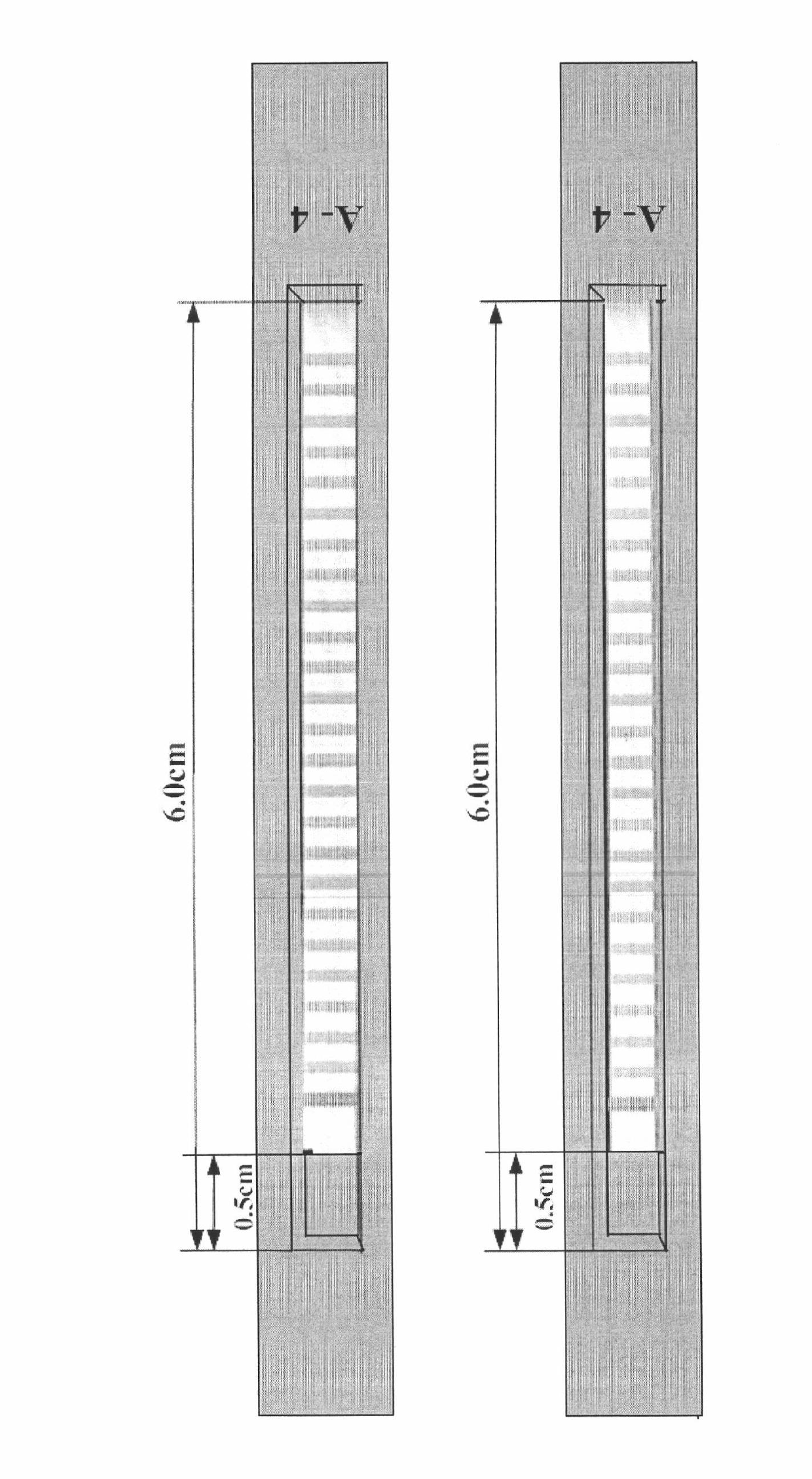 Method for preparing nucleic acid probe-coated porous solid support strip