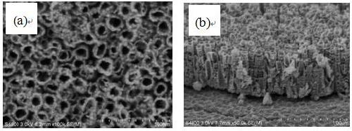 Photo-anode composite film as well as preparation method and application of photo-anode composite film