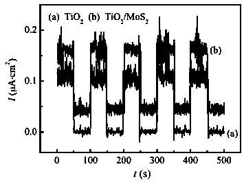 Photo-anode composite film as well as preparation method and application of photo-anode composite film