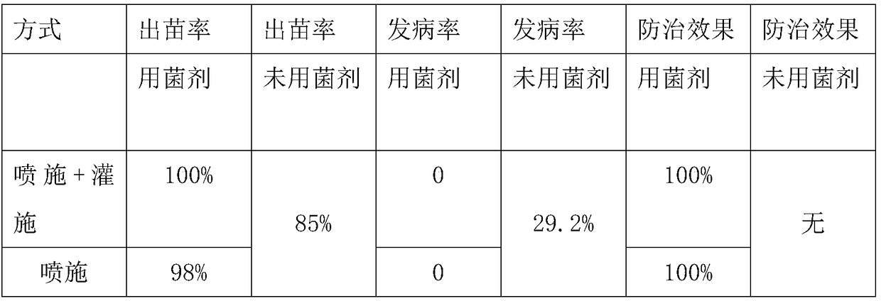 Special composite biological agent for ginseng and production and preparation method