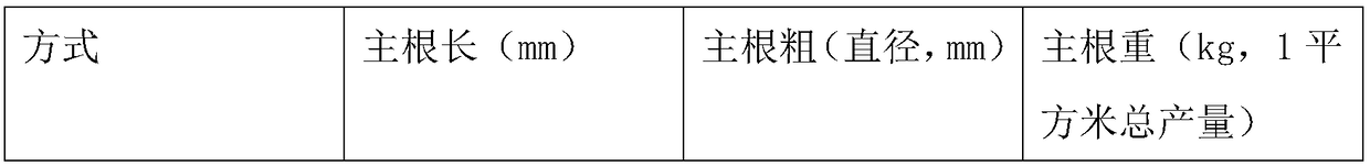 Special composite biological agent for ginseng and production and preparation method