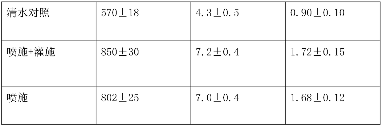 Special composite biological agent for ginseng and production and preparation method