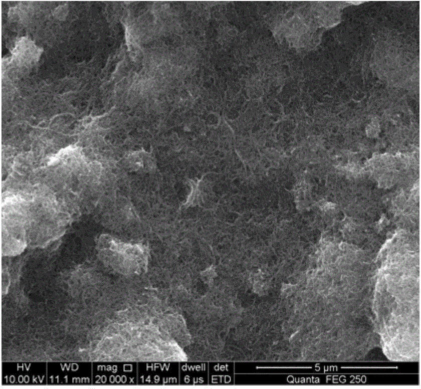 Preparation method for flexible positive pole of lithium selenium battery