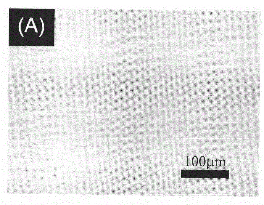 Preparation method for material with high density fixed biologically functional molecule