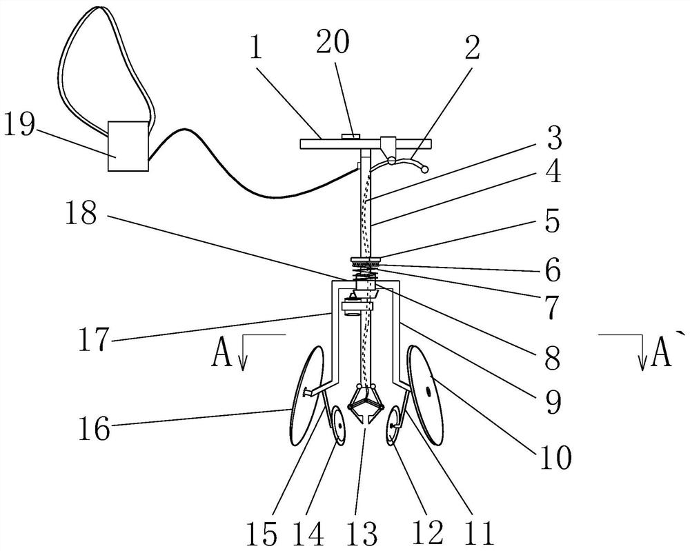 A kind of transplanting device and method of Fengdan