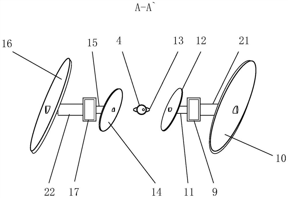 A kind of transplanting device and method of Fengdan