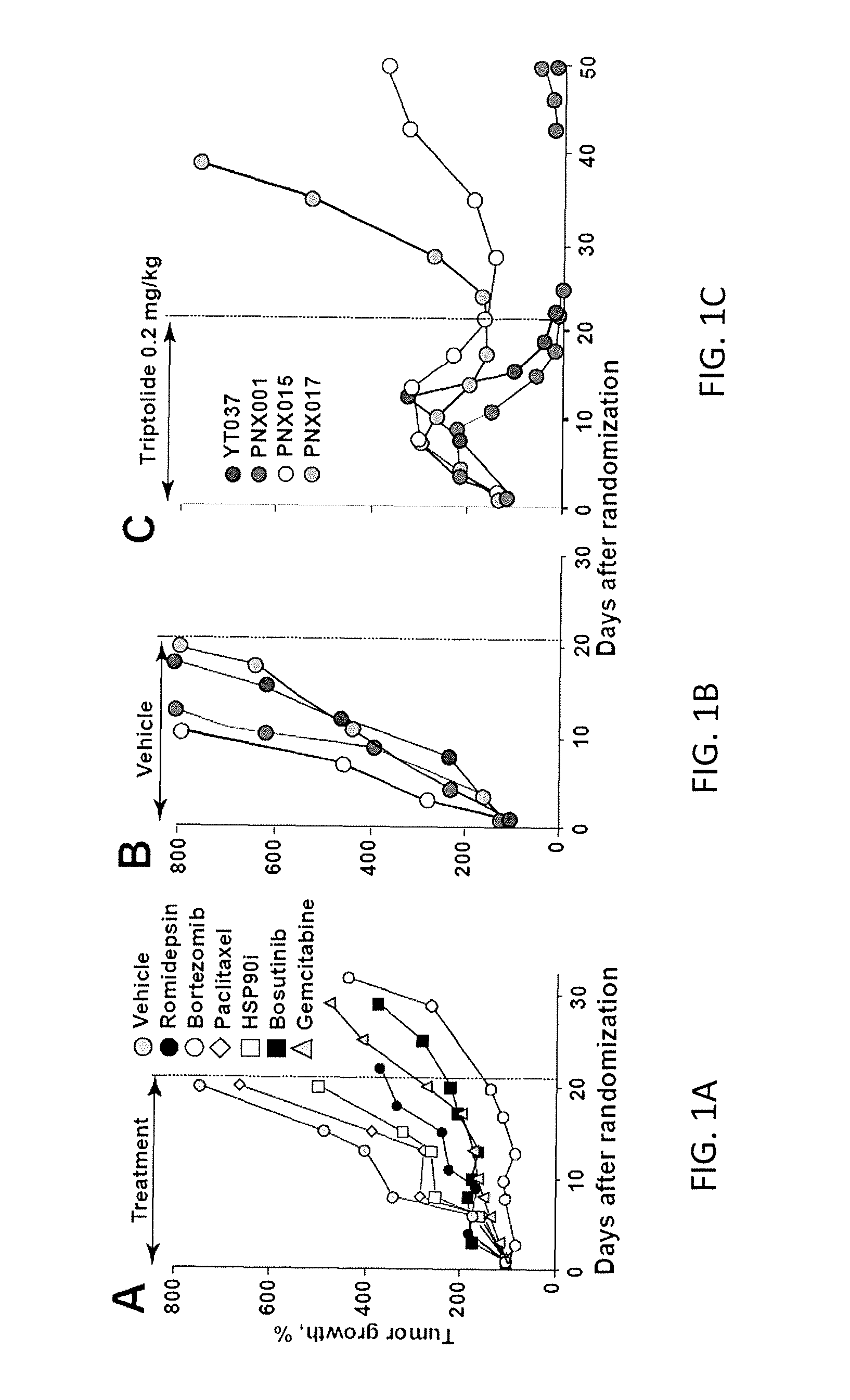 C-MYC as a Biomarker for Tumor Sensitivity to Treatment with RNA Polymerase II Inhibition