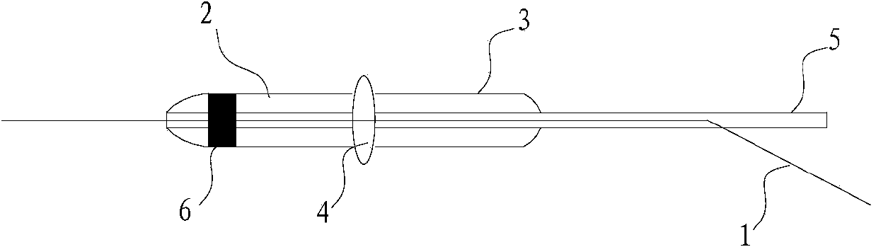 Device and system used for forming vascular embolism and application of device and system