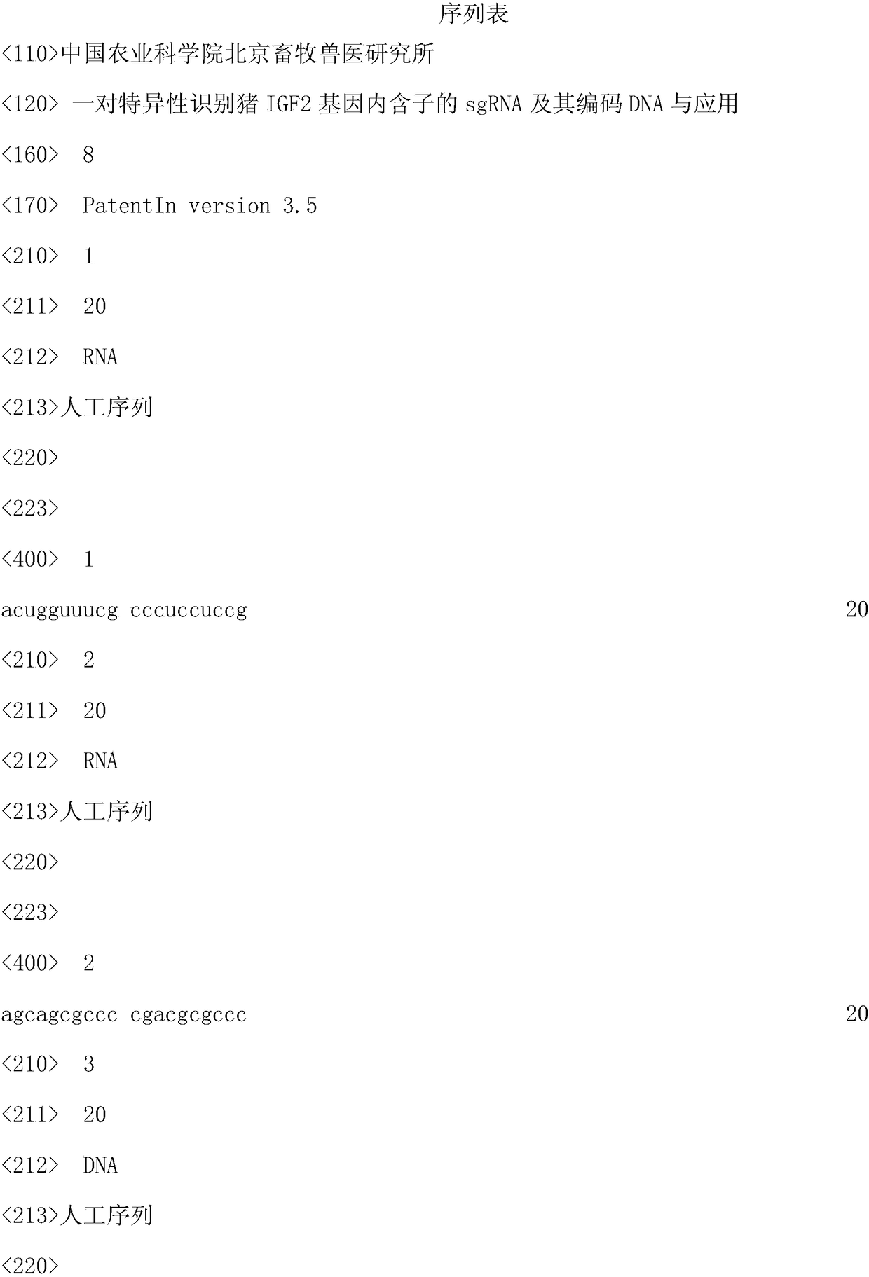 A pair of sgRNA that specifically recognizes the intron of pig igf2 gene, its coding DNA and its application