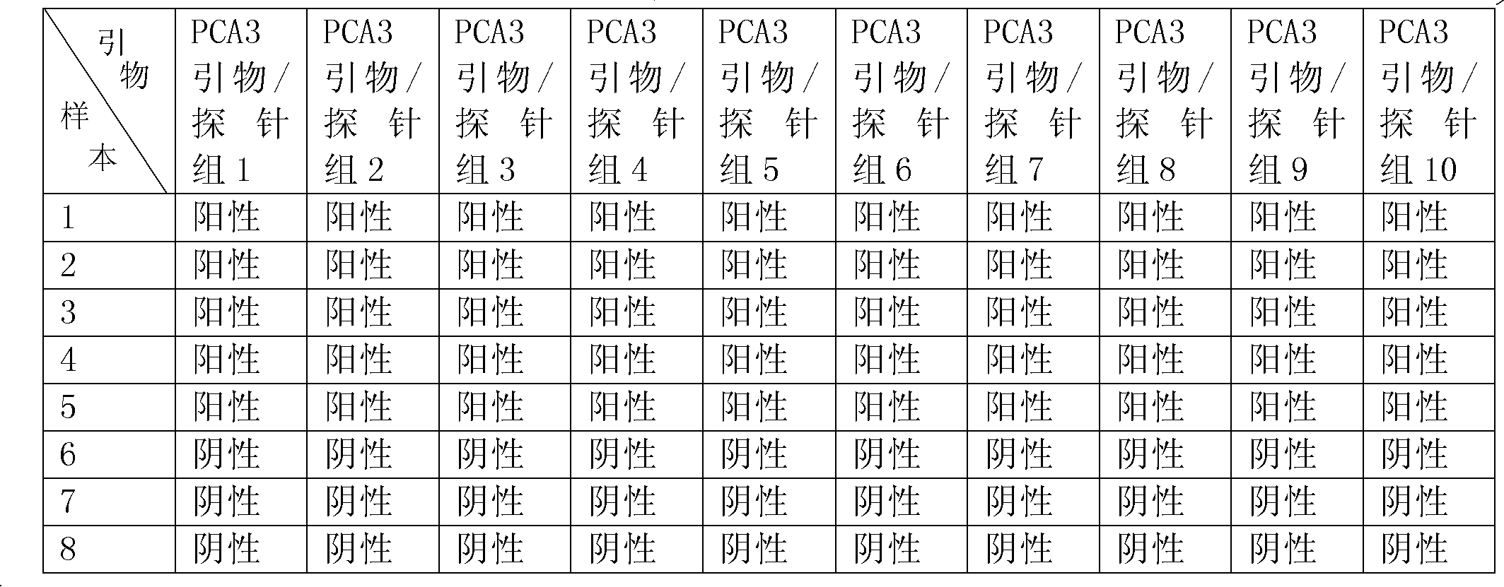 Liquid-phase chip method for detecting PCA3 gene and PSA gene and diagnostic reagent kit thereof