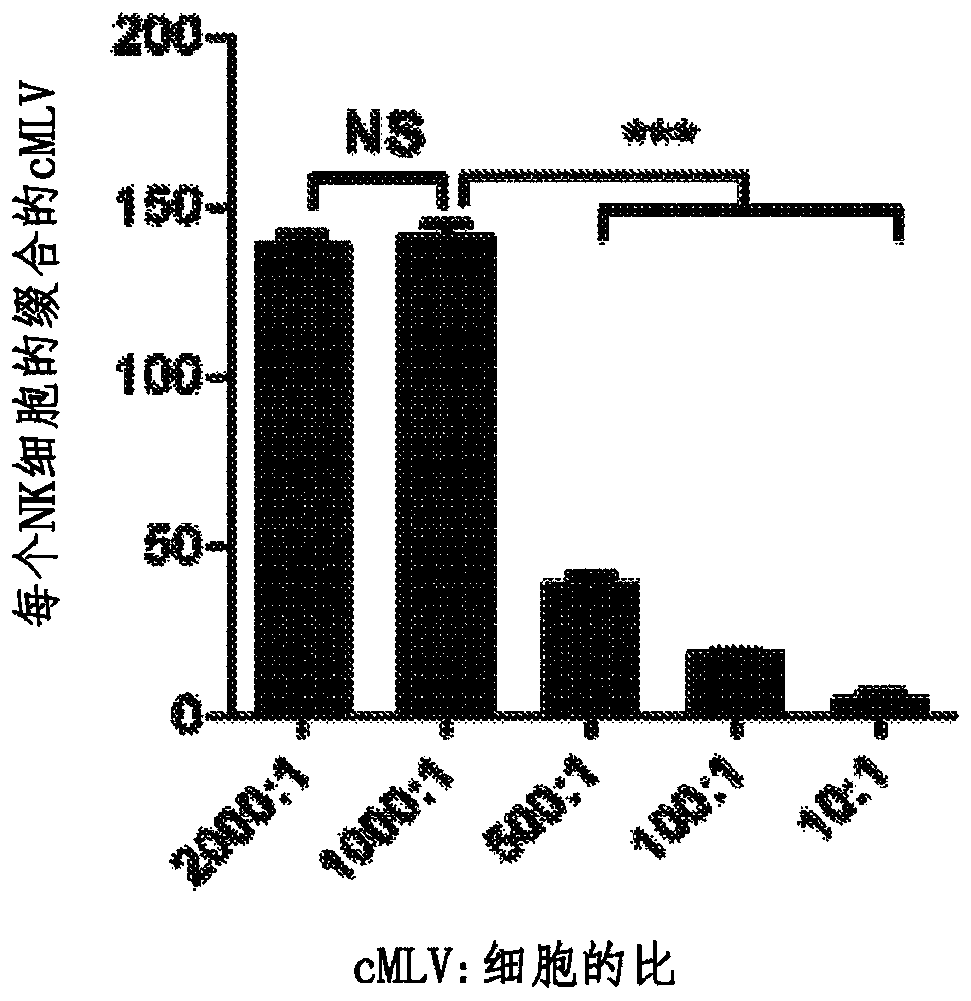 Combination cancer therapy using chimeric antigen receptor engineered natural killer cells as chemotherapeutic drug carriers