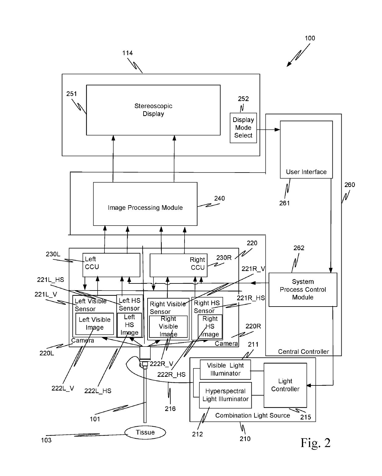 Simultaneous white light and hyperspectral light imaging systems