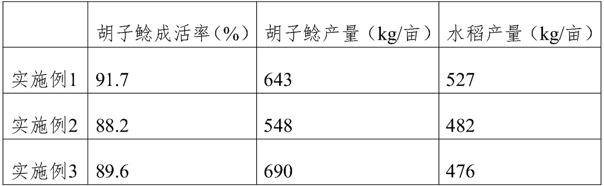 Method for breeding clarias fuscus