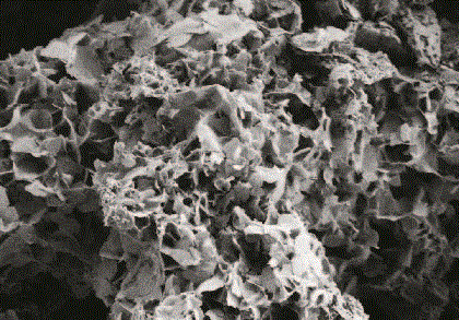 Nitrogen-enriched carbon based/sulfur composite cathode material used for lithium sulphur batteries, and preparation method thereof