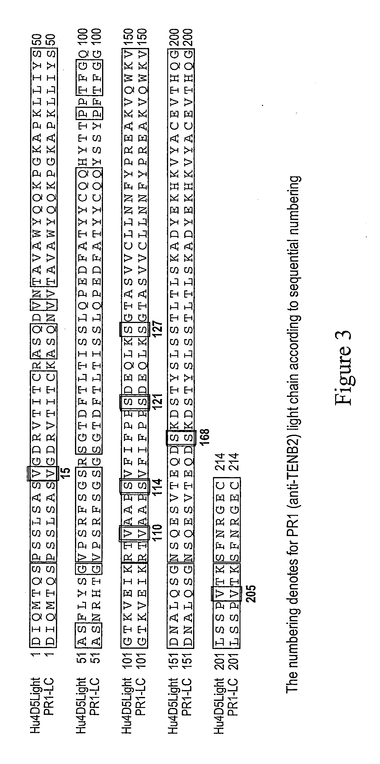 Cysteine engineered anti-TENB2 antibodies and antibody drug conjugates