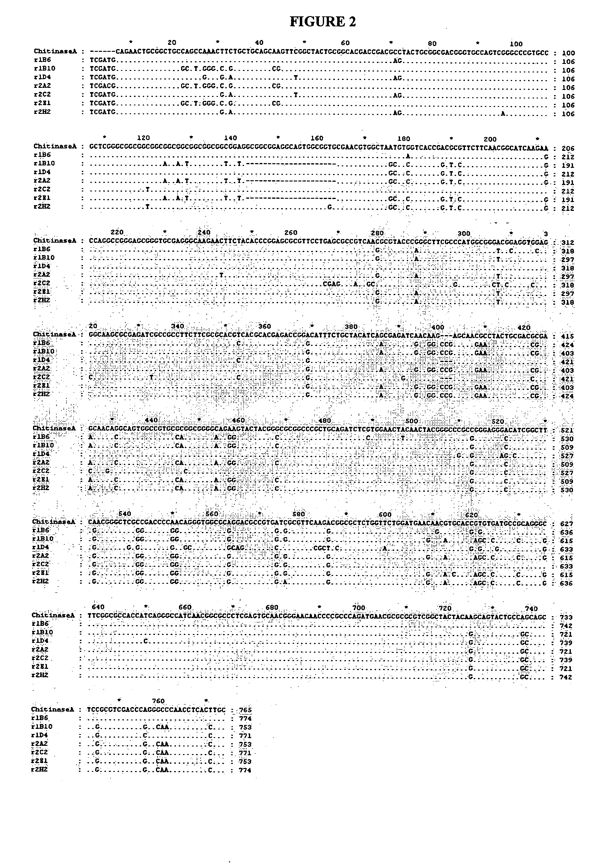 Novel compositions with chitinase activity