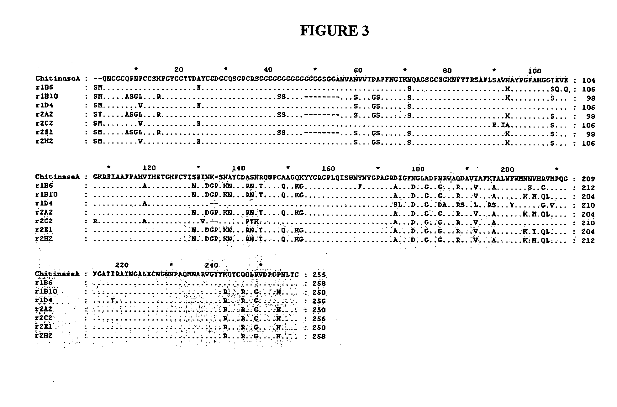 Novel compositions with chitinase activity