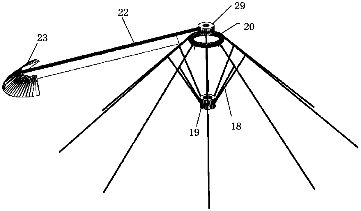 An umbrella-shaped tower-type photobiological cultivator