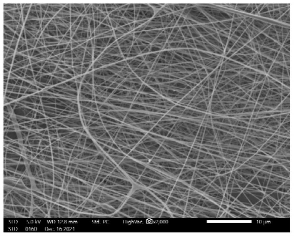 Preparation method of silk fibroin repair patch and silk fibroin repair patch