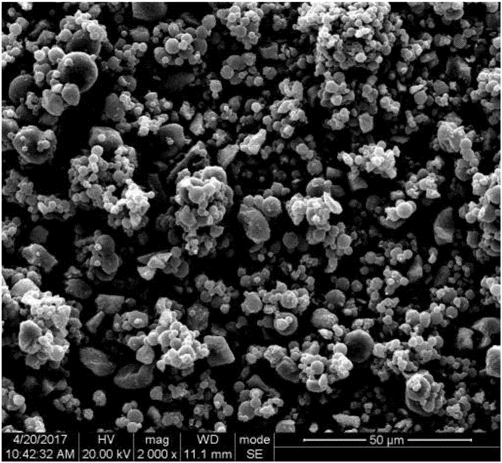 Three-dimensional spherical silicon-carbon composite negative electrode material and preparation method therefor