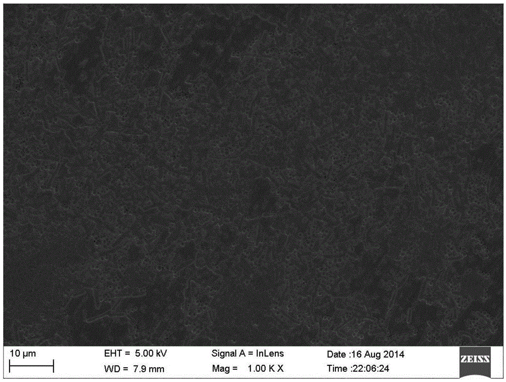 Preparation method of antibacterial adhesive coating layer on surface of stainless steel medical equipment