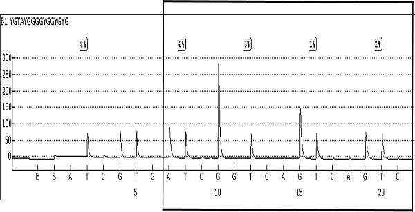 Molecular marker used for early screening cervical cancer, primer, method and kit