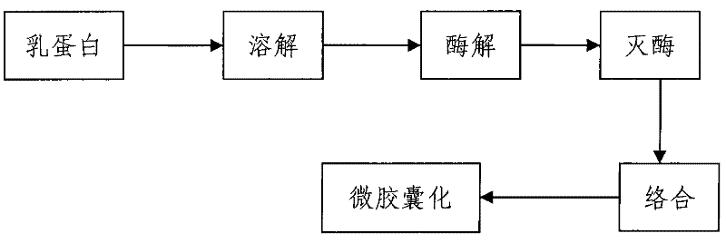 Zymohydrolysis lactoprotein ferrous complex compound microcapsule iron supplement agent and preparation thereof