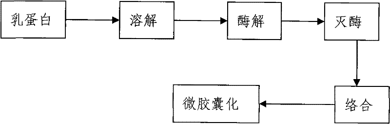 Zymohydrolysis lactoprotein ferrous complex compound microcapsule iron supplement agent and preparation thereof