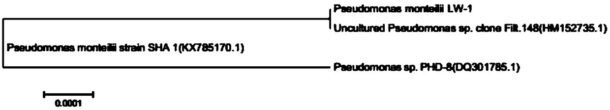 Preparation method of biological active filler comprising pseudomonas monteilii