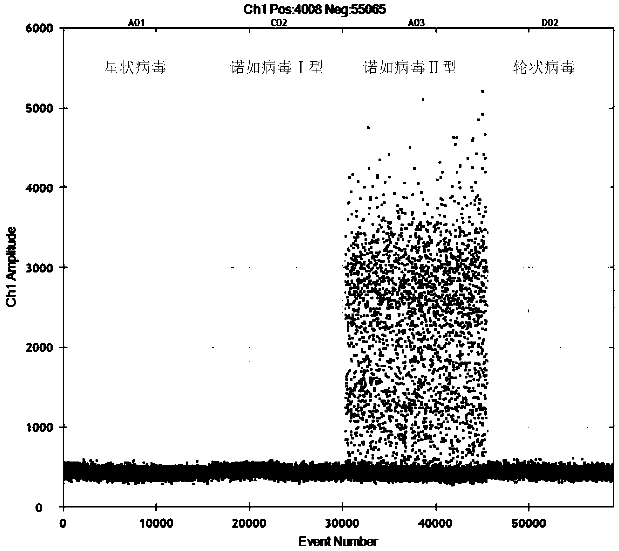 A kit and detection method for accurate and quantitative detection of Norovirus type Ⅱ