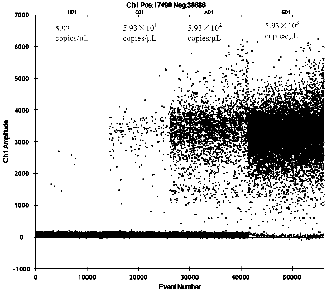 A kit and detection method for accurate and quantitative detection of Norovirus type Ⅱ