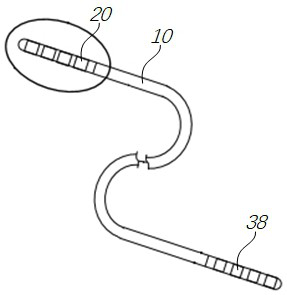 Implanted electrode and implanted electrical stimulation system