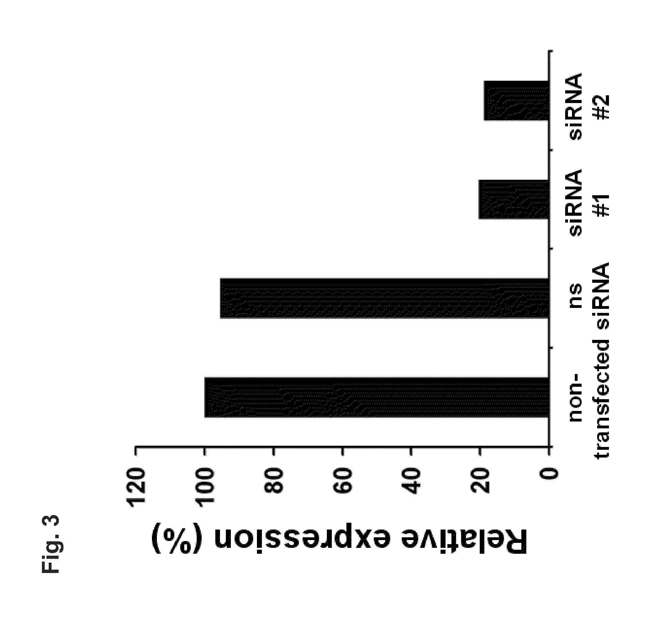 Identification of Tumor-Associated Markers for Diagnosis and Therapy