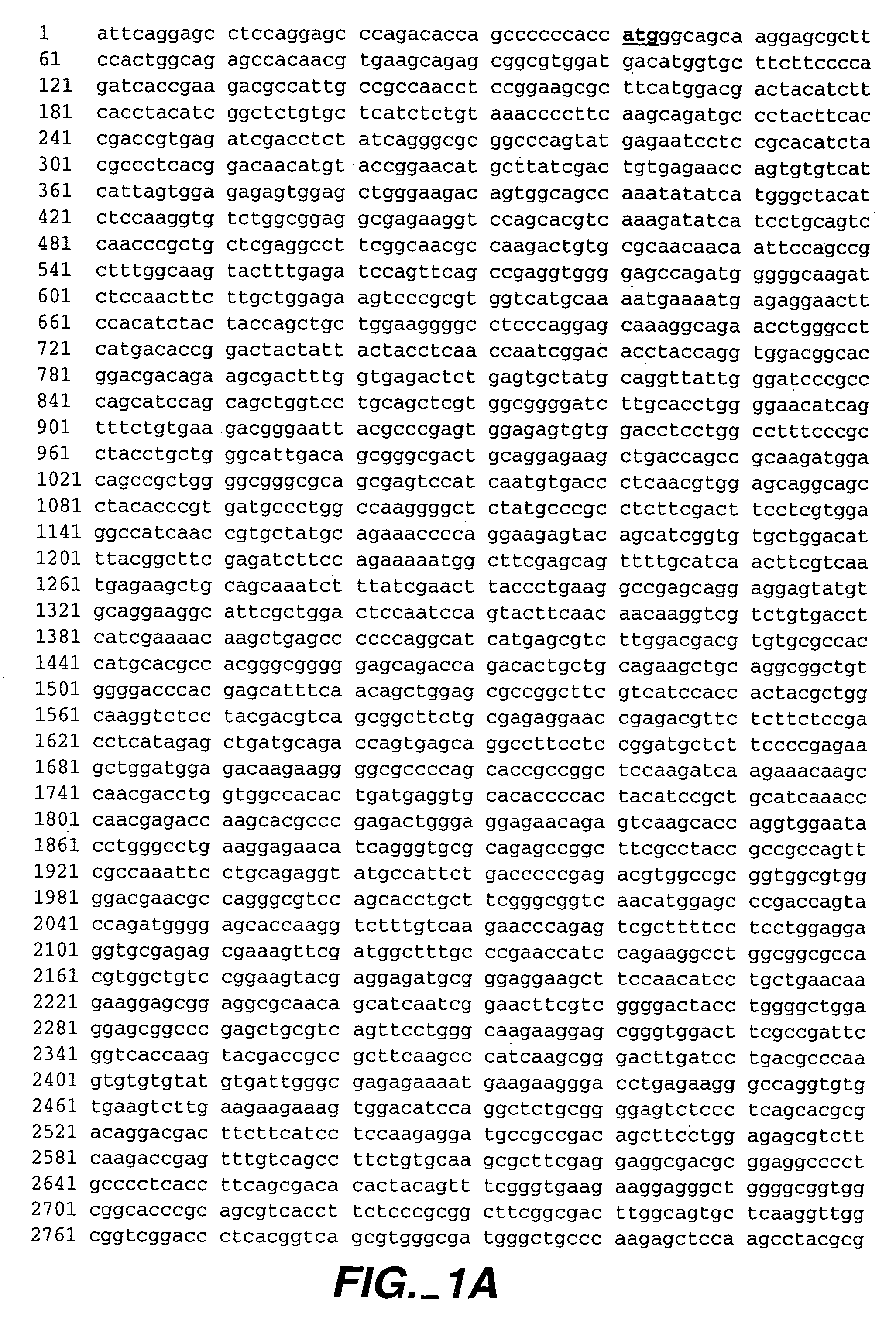 Modulators of B-lymphocyte activation, myosin-1F compositions and methods of use