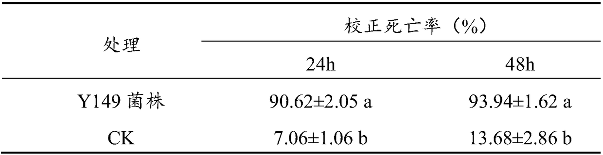 Bacterial strain for preventing and controlling plant nematodes and application thereof