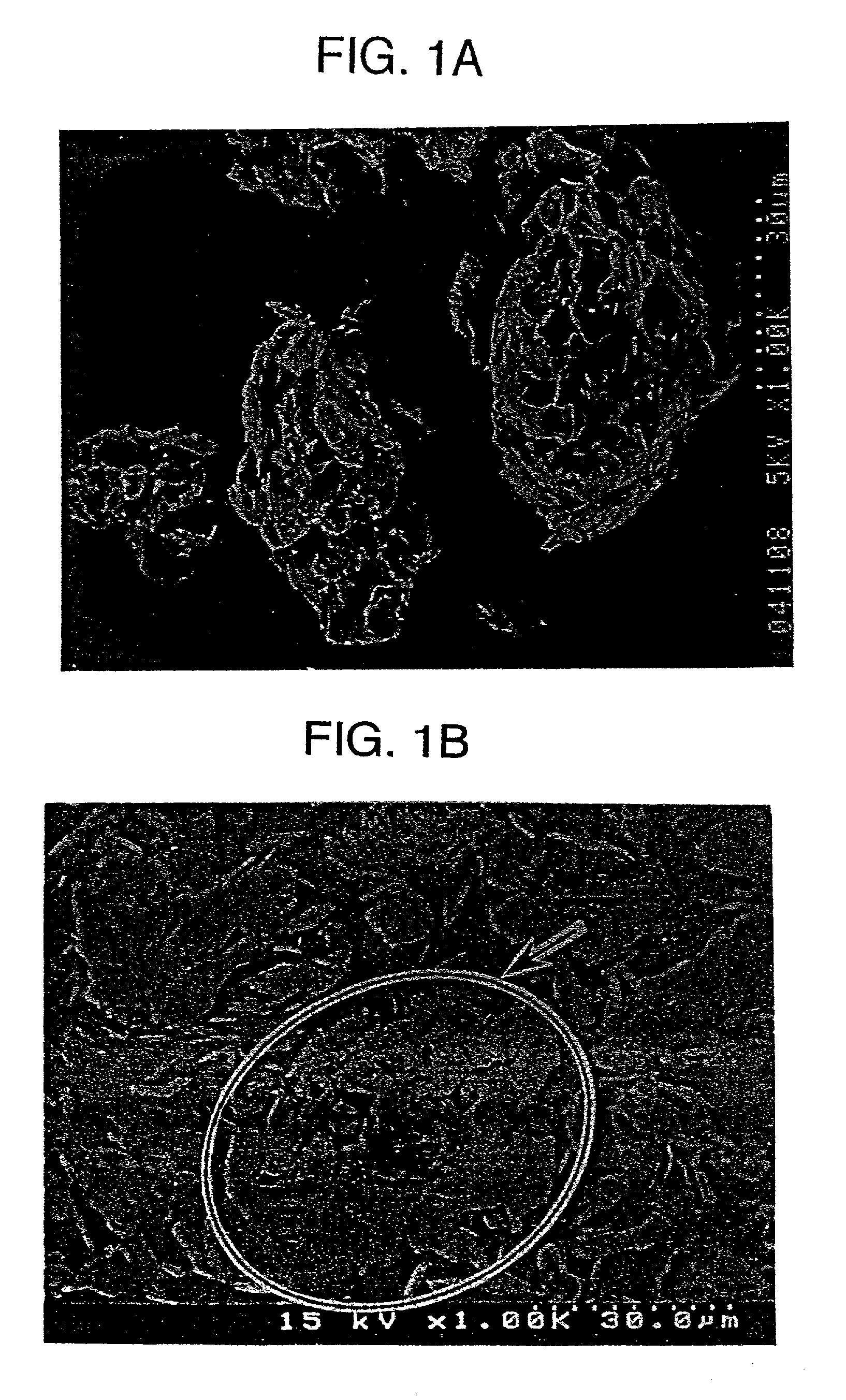 Graphite particles and lithium secondary battery using the same as negative electrode