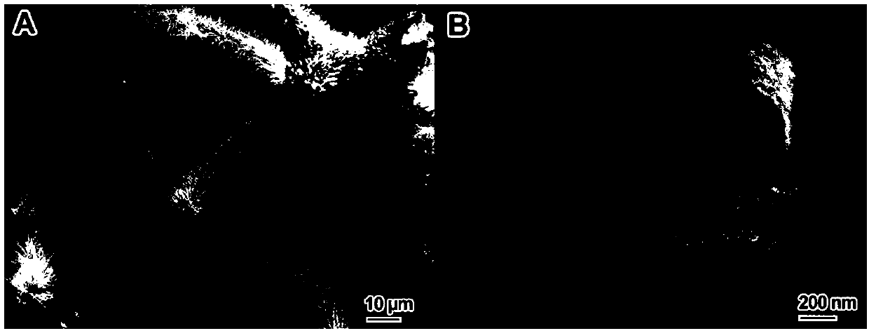 Preparation method of ferrocobalt sulfide nanotube loaded carbon sponge flexible composite material