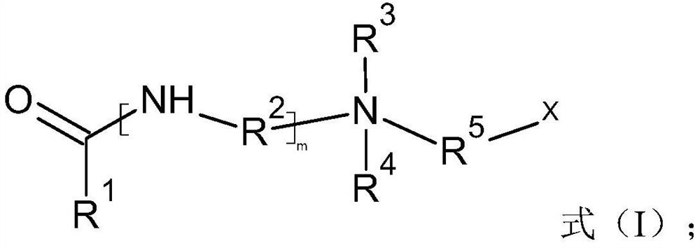 Oil-resistant foam drainage agent composition, foam drainage agent combined liquid and application thereof