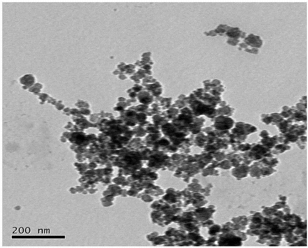 Difunctional light conversion master batches and preparation method thereof