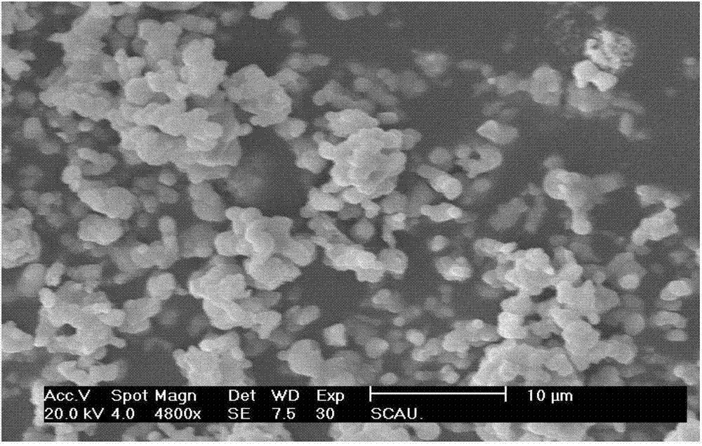 Difunctional light conversion master batches and preparation method thereof