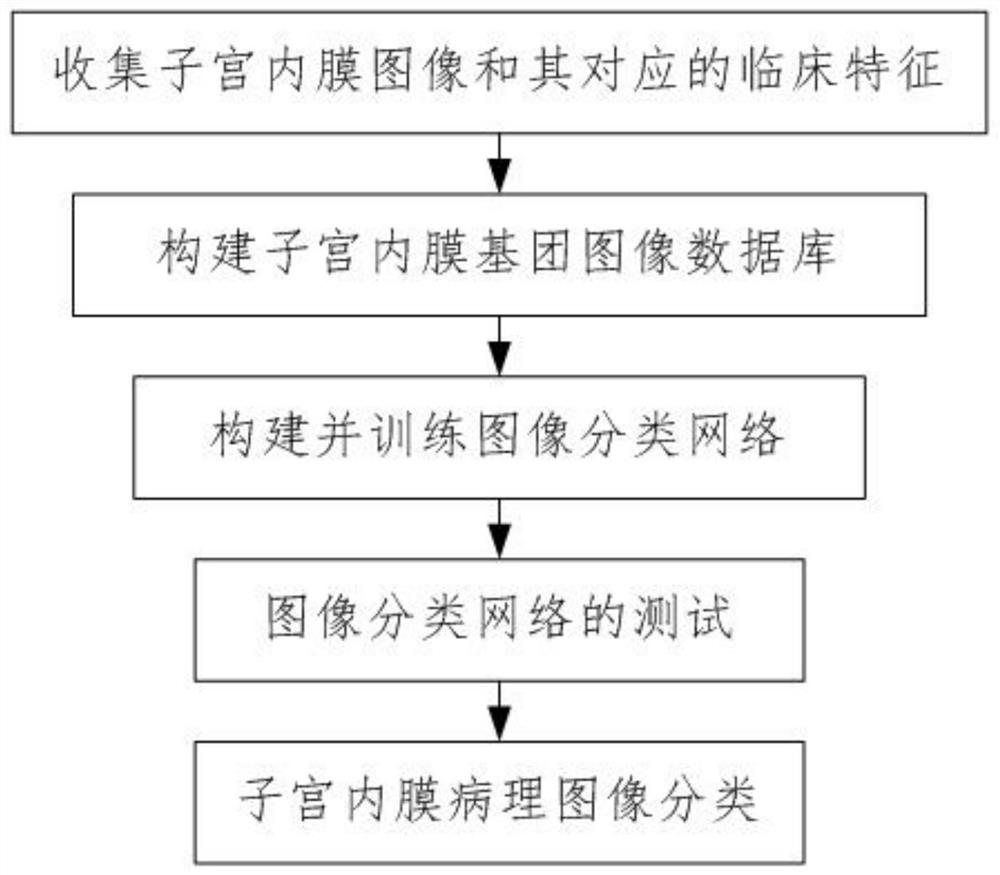 Endometrial pathological image classification method