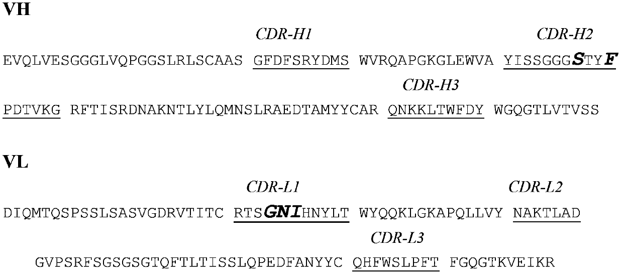 Anti-il-1β humanized monoclonal antibody and preparation method and application thereof