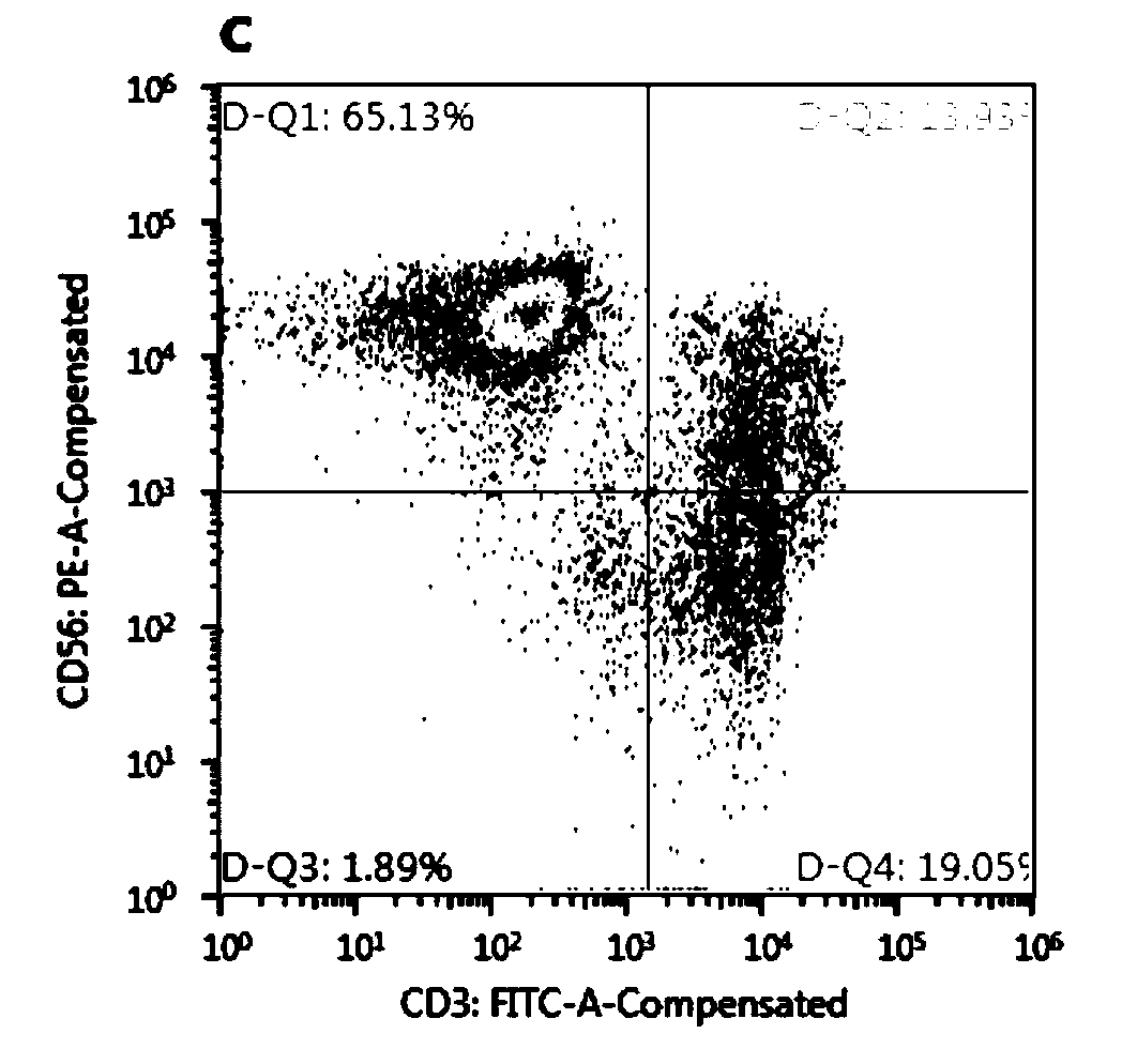 In-vitro amplification culture method of NK cells