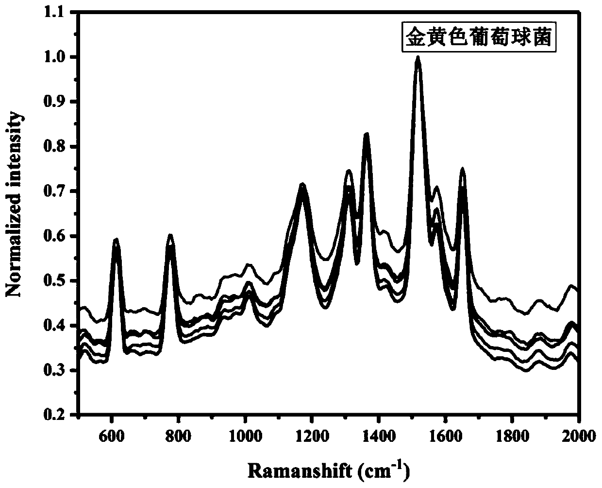 Rapid detection method for bacteria based on surface enhanced Raman scattering-laser-induced breakdown spectroscopy