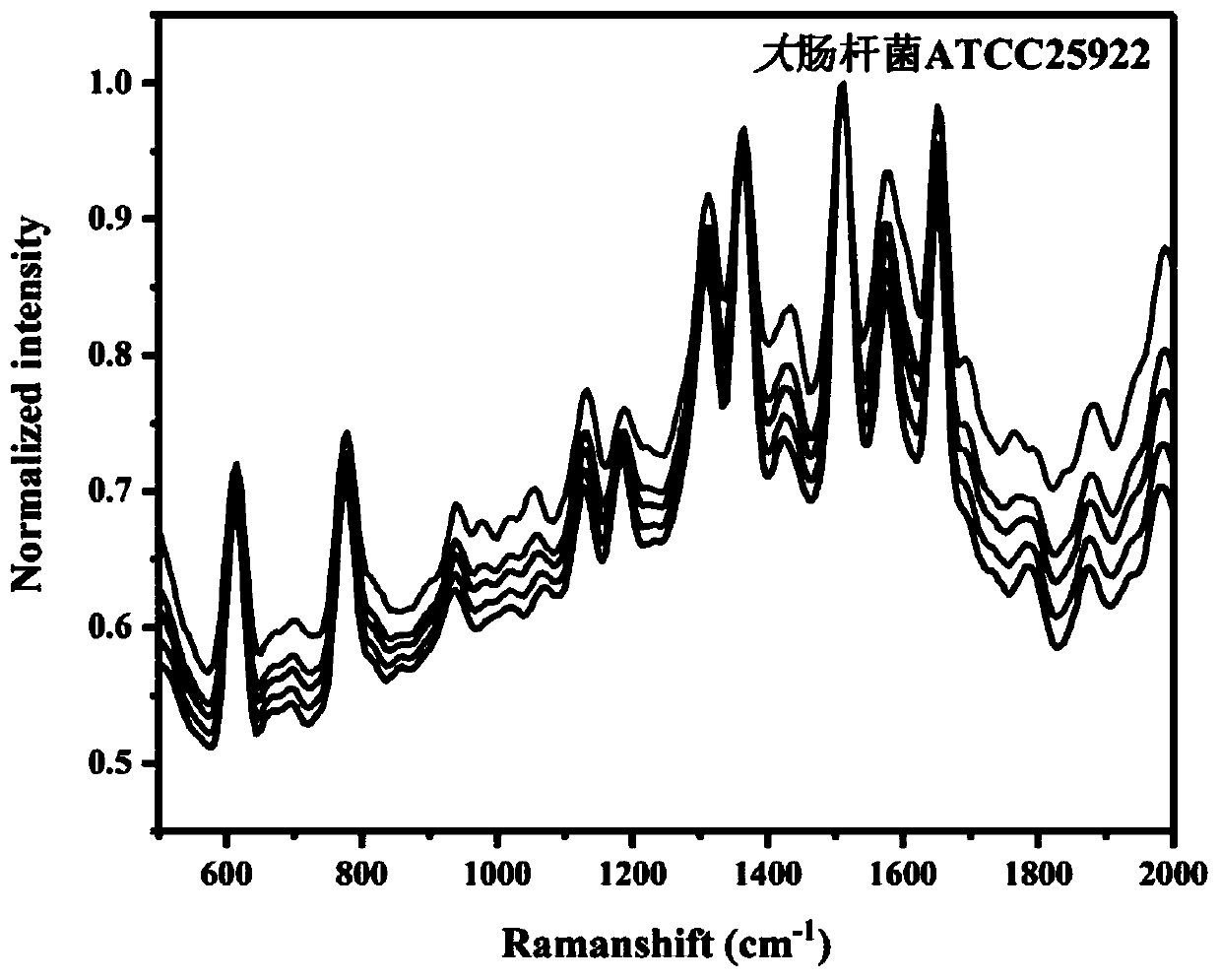 Rapid detection method for bacteria based on surface enhanced Raman scattering-laser-induced breakdown spectroscopy