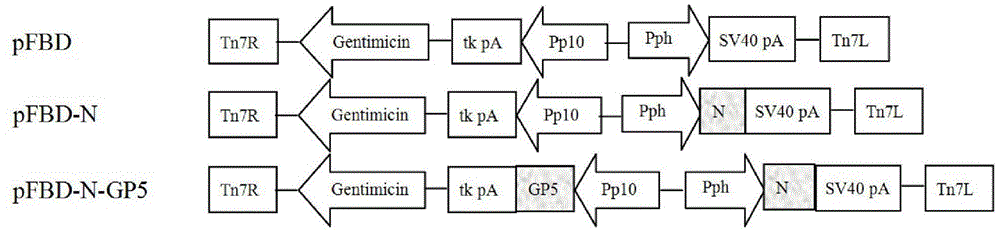 PRRSV (porcine reproductive and respiratory syndrome virus) virus-like particles with immunogenicity as well as preparation and application thereof